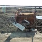 Hacienda varada por un paro gremial de ATE en SENASA