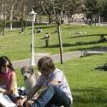 Recibiremos la primavera con muy buena temperatura y sin lluvias