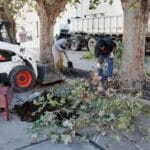 El municipio asistirá con vales de alimentos a los «trapitos»