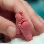 Se llevará a cabo en el Nuevo Hospital la SEMANA DEL PREMATURO