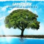 Voluntarios de la ONG Greenpeace desarrollan actividades en la ciudad