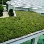 Docentes de Agronomía y de Ingeniería proponen techos verdes para espacios públicos