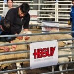 Dos escuelas cordobesas alcanzaron el podio en un certamen sobre producción ovina