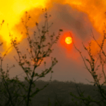Incendios: Continúa el combate en El Durazno y fueron contenidos los demás focos