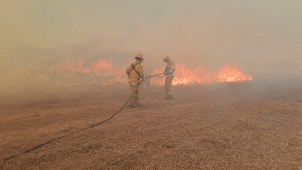 Incendios: bomberos combaten distintos focos en la provincia
