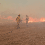 Incendios: bomberos combaten distintos focos en la provincia