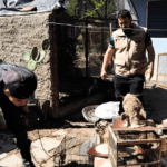 Córdoba capital: allanaron un domicilio y hallaron dos guacamayos