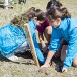 Forestando Mi Ciudad: se plantaron 100 árboles en la zona del río con estudiantes de dos escuelas