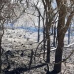 A un mes de los incendios, la Provincia ejecuta un plan de Remediación Social, Productivo y Ambiental por más de $15.600 millones