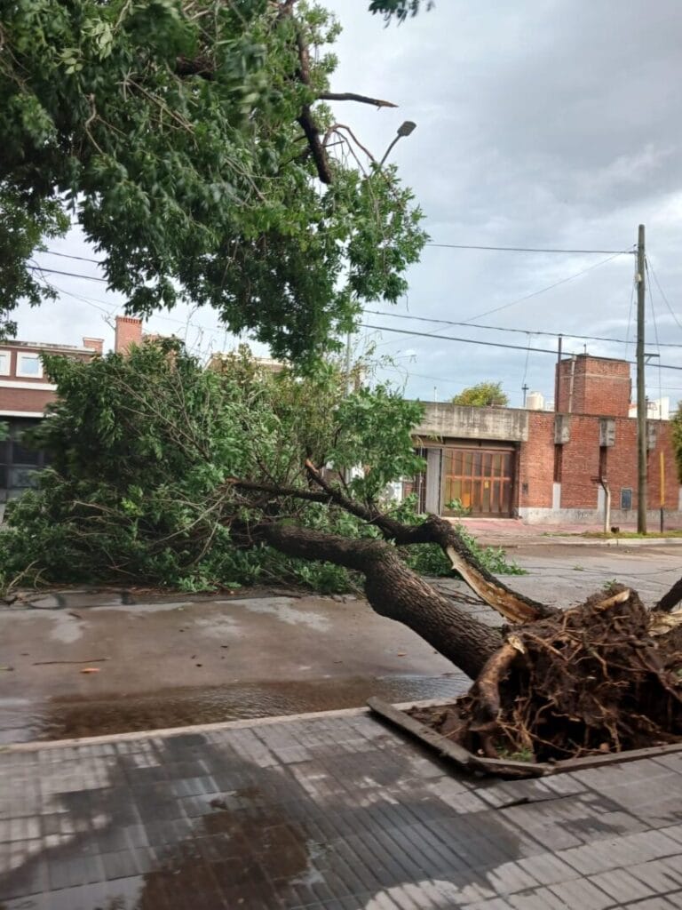 Fuerte tormenta generó daños e inconvenientes en la Ciudad