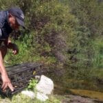 Más de 100 animales recibieron el alta sanitaria y fueron liberados en Punilla y Cruz del Eje