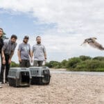 Casi 50 ejemplares de fauna silvestres regresaron a la naturaleza