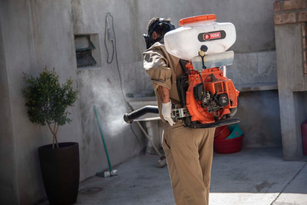 Dengue: detectan larvas de aedes aegypti en el 8% de las casas relevadas y emiten recomendaciones