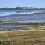 Ambiente realiza estudios de fauna nativa en Pulmones Verdes para fortalecer la conservación de la biodiversidad