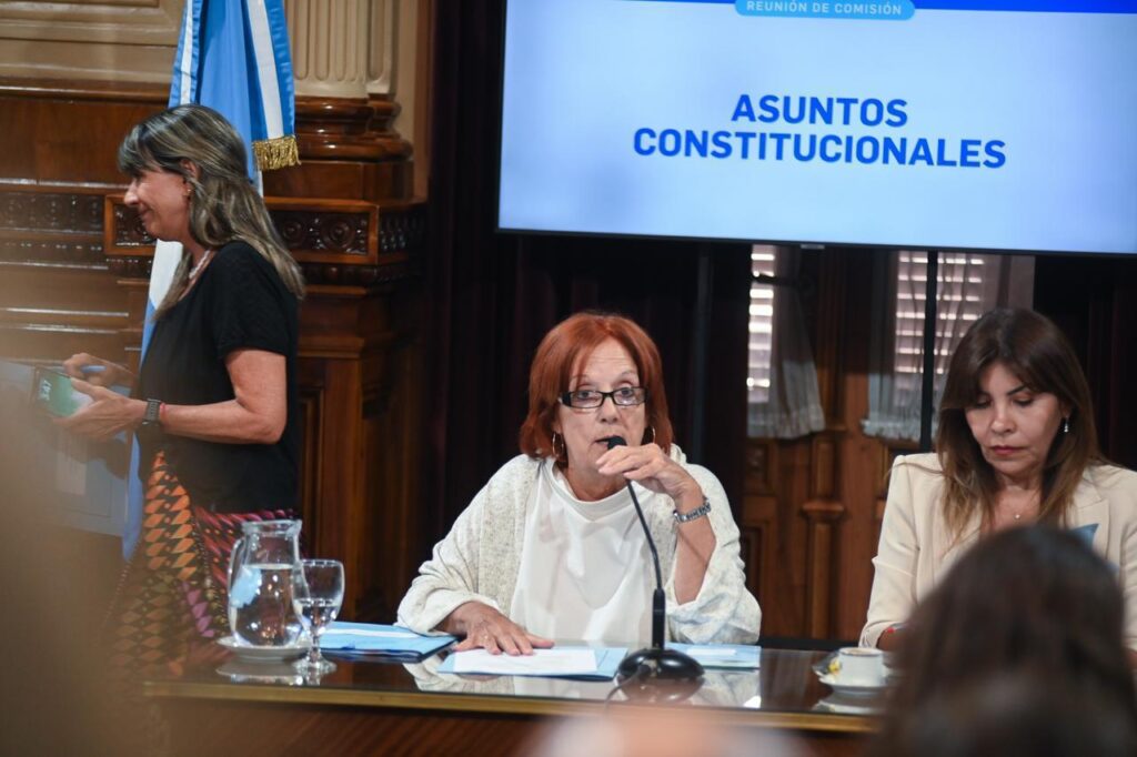 Senado: Alejandra Vigo preside la comisión de Asuntos Constitucionales