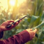 Creció más del 300% la inversión en startups en Córdoba en 2024