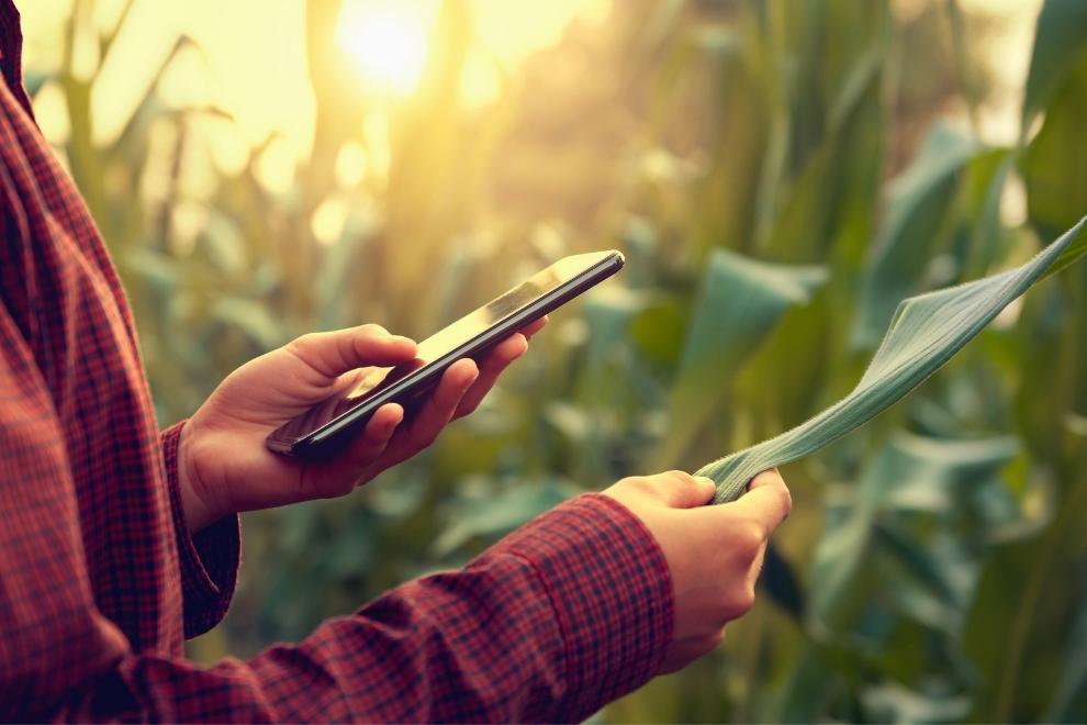 Creció más del 300% la inversión en startups en Córdoba en 2024