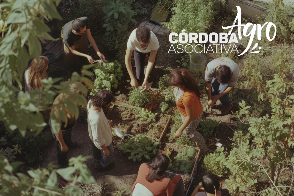 Córdoba AgroAsociativa: Ya se formaron 11 grupos de productores para impulsar el trabajo colaborativo
