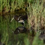 La Provincia impulsa políticas para conservar su patrimonio natural