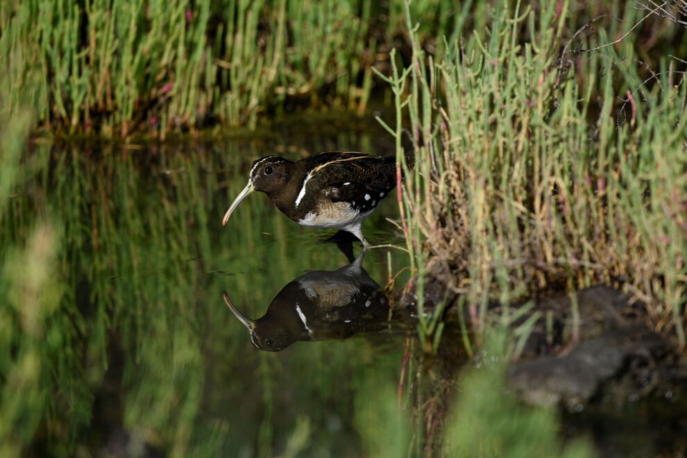 La Provincia impulsa políticas para conservar su patrimonio natural