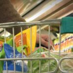 Córdoba: Los precios al consumidor aumentaron 2,0% en mayo