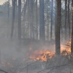 La Provincia declaró el estado de alerta ambiental por riesgo de incendios