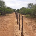 Bioagroindustria recuerda las buenas prácticas agropecuarias para el manejo del fuego