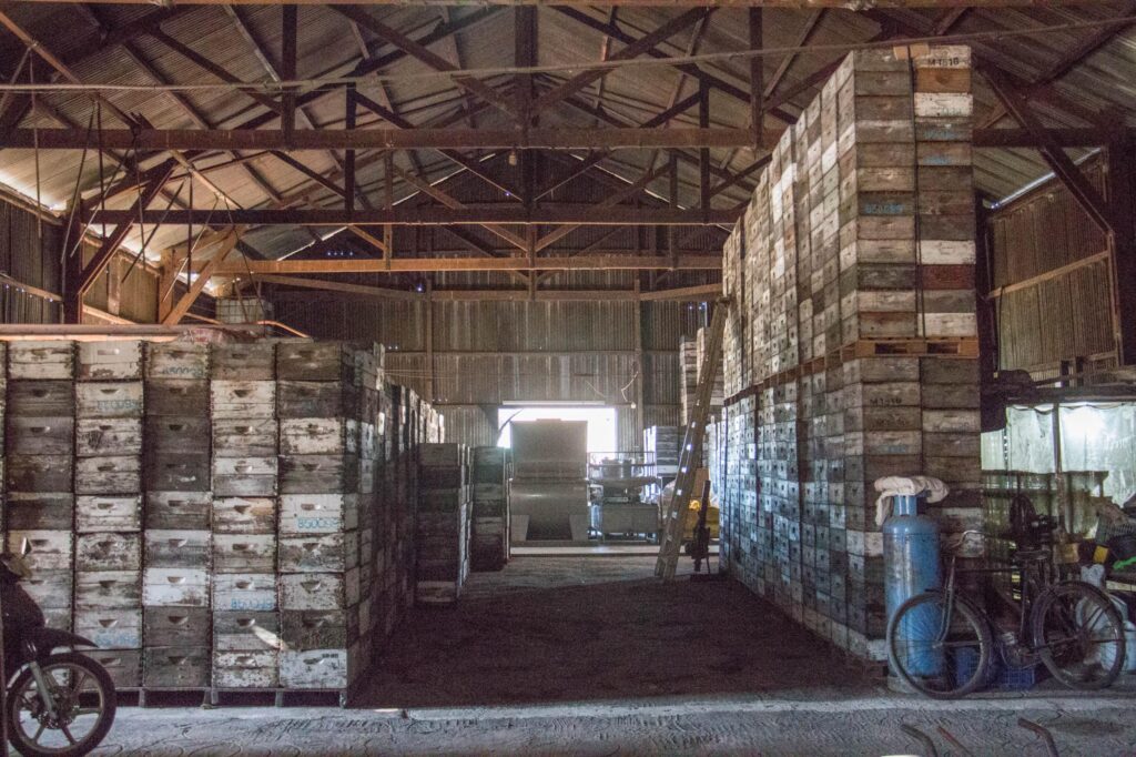 La llegada del gas natural sigue potenciando a emprendimientos del sur sur provincial