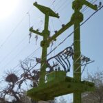 La Provincia lanzó Bioestaciones Eléctricas Inteligentes y sigue fortaleciendo su política energética con perspectiva sostenible