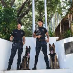 Perro detector halló un cargador y municiones ocultas durante un allanamiento