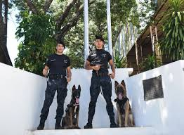 Perro detector halló un cargador y municiones ocultas durante un allanamiento