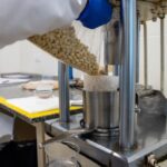 Con aporte clave de Córdoba, Argentina se consolida como el mayor exportador mundial de maní