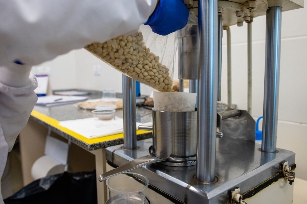 Con aporte clave de Córdoba, Argentina se consolida como el mayor exportador mundial de maní