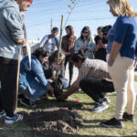 Se realizó una nueva jornada del Programa “Forestando mi Ciudad” en el CGM y Polideportivo del Barrio Alberdi
