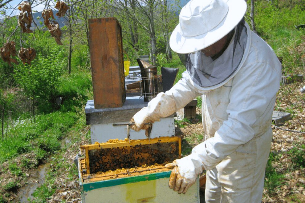 Convocatoria a elecciones para renovar el Consejo Asesor Apícola de Córdoba