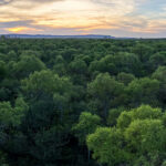 Ambiente: Comenzaron las transferencias del Programa de Pago por Servicios Ambientales a propietarios de bosque nativo