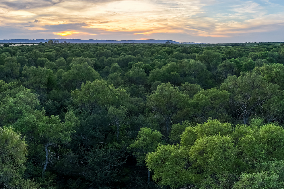 Ambiente: Comenzaron las transferencias del Programa de Pago por Servicios Ambientales a propietarios de bosque nativo