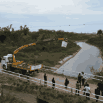 Experiencia inédita en Argentina: La Provincia instaló desviadores de vuelo en líneas eléctricas para proteger aves migratorias en Ansenuza