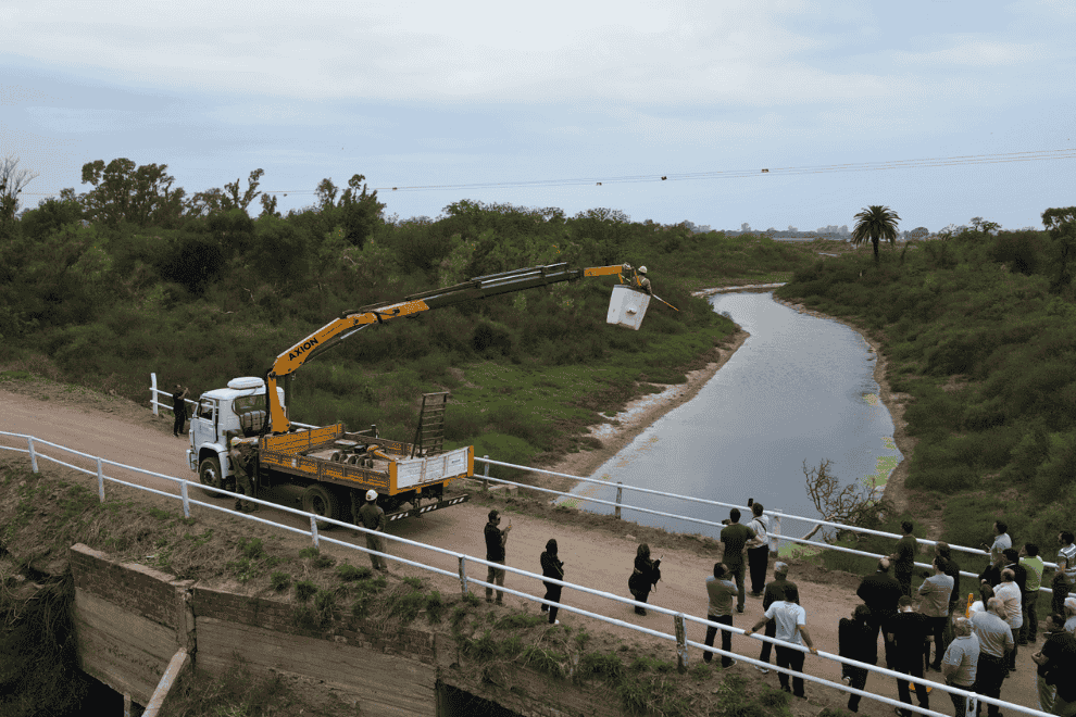Experiencia inédita en Argentina: La Provincia instaló desviadores de vuelo en líneas eléctricas para proteger aves migratorias en Ansenuza