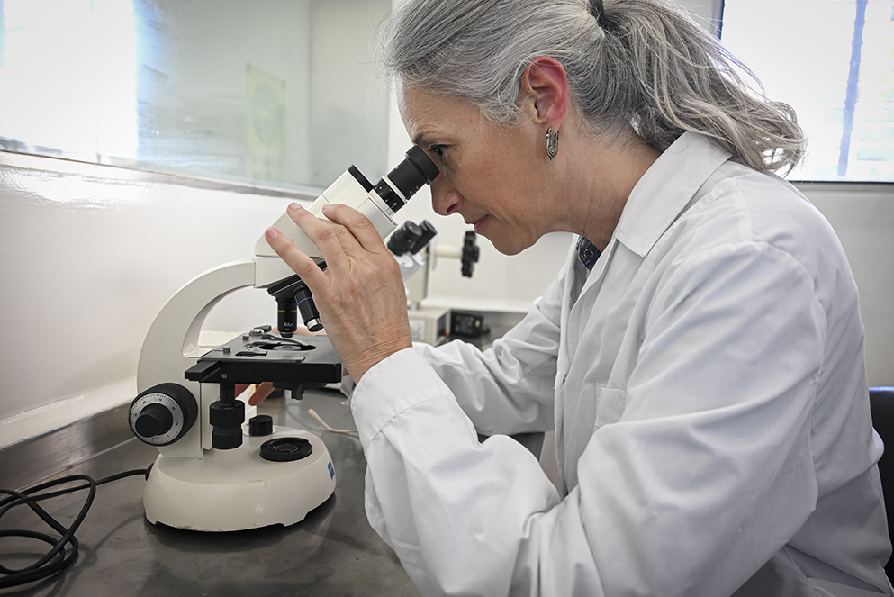 Ciencia cordobesa con trayectoria: CEPROCOR cumple 33 años