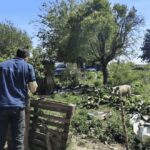 Controles por casos de triquinosis en el departamento Río Cuarto