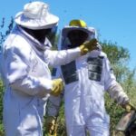 Córdoba se convirtió en la provincia con más inspectores sanitarios apícolas acreditados del país