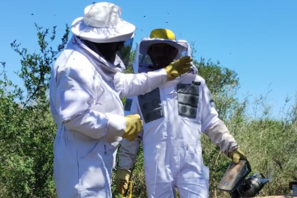 Córdoba se convirtió en la provincia con más inspectores sanitarios apícolas acreditados del país