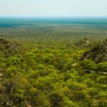 Abren las convocatorias del Programa de Pago por Servicios Ambientales para la conservación del bosque nativo