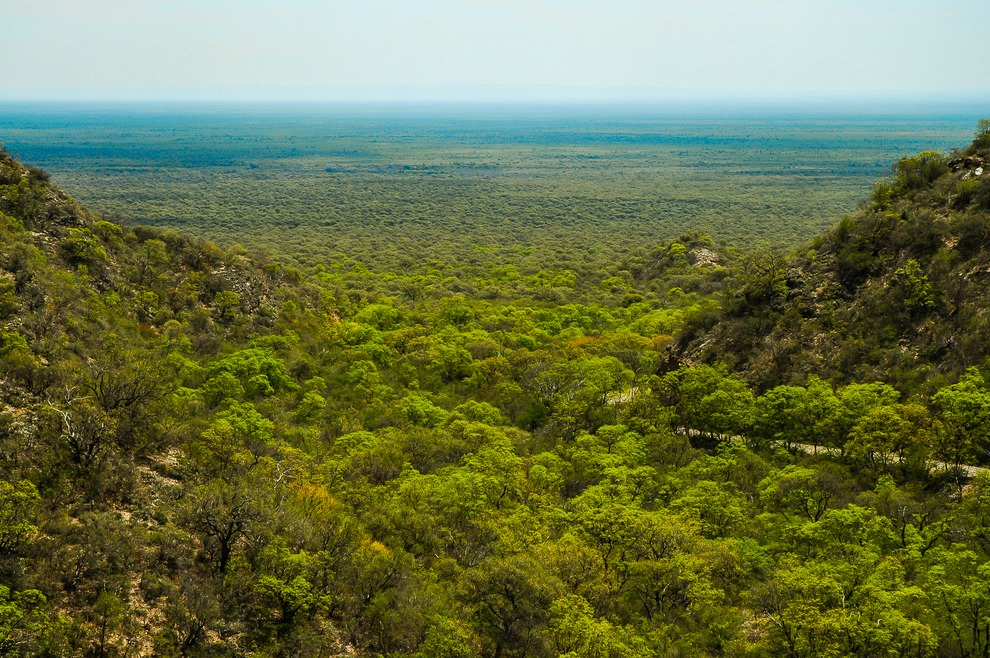 Abren las convocatorias del Programa de Pago por Servicios Ambientales para la conservación del bosque nativo