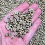 Otras dos empresas cordobesas recibieron los beneficios de la promoción industrial