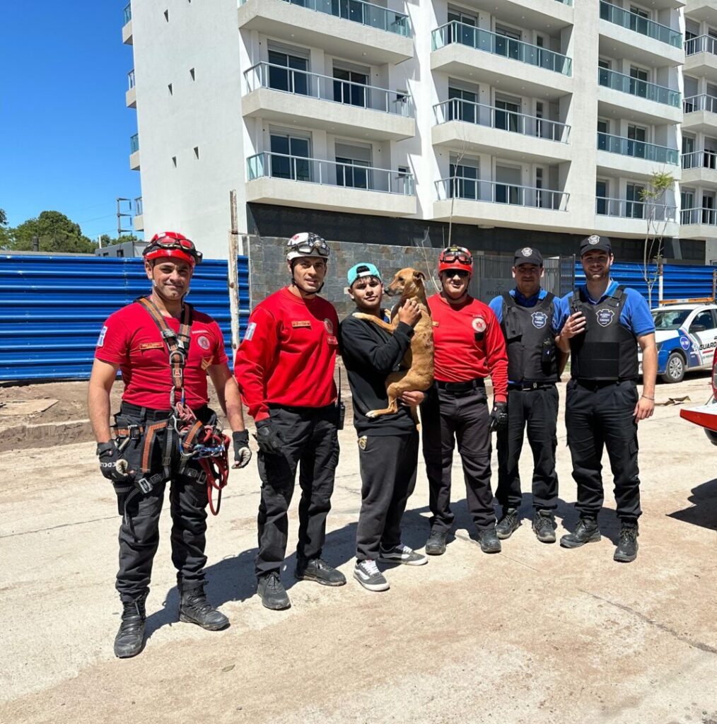 La Guardia Local y el DUAR salvaron a una perrita tras pasar la noche en una terraza