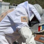 Fueron elegidos los consejeros apícolas 2025–2027 en Córdoba