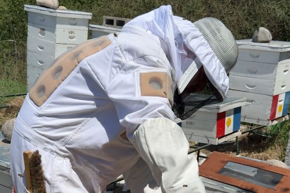 Fueron elegidos los consejeros apícolas 2025–2027 en Córdoba