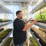 Gen Nativo: Cómo funciona el “multiplicador” de árboles para forestar campos cordobeses